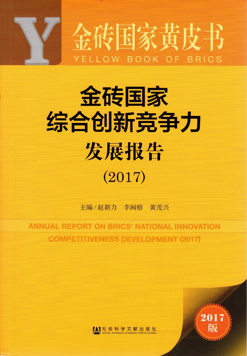 免费看美女机巴自慰流白水网站金砖国家综合创新竞争力发展报告（2017）